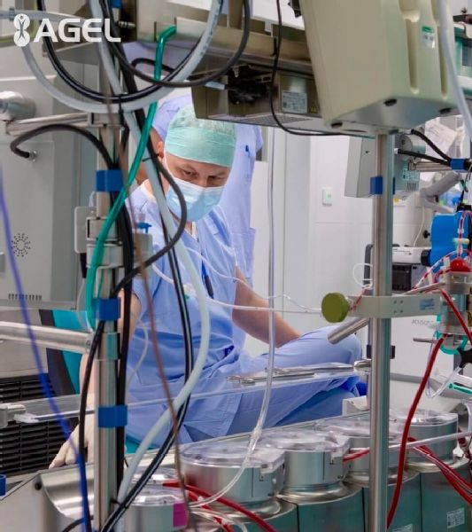 PhDr. Martin Vaľko námestník odboru ošetrovateľskej starostlivosti pre chirurgické odbory